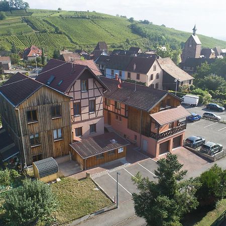 Pinot Gris - Charmant Studio Au Coeur Du Vignoble - Parking Gratuit Riquewihr Esterno foto